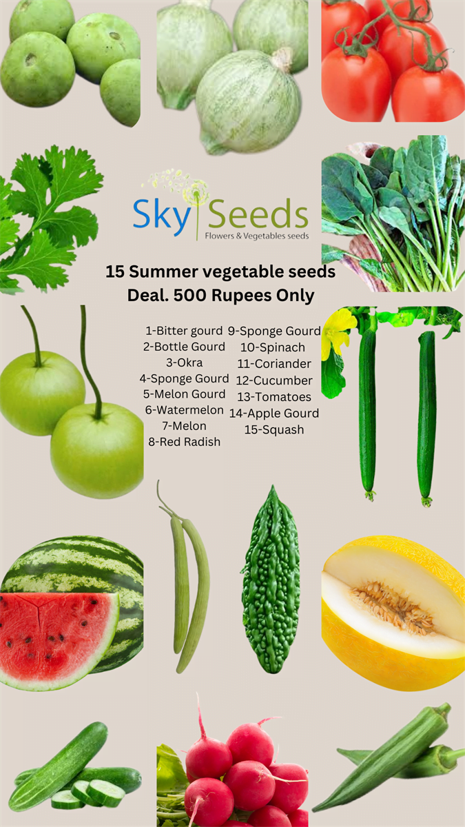 SKY SEEDS 15 op Summer Season seeds Deal