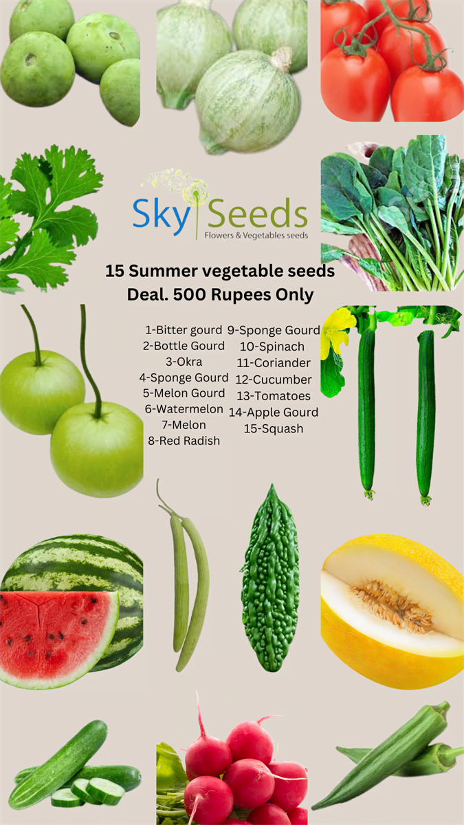 SKY SEEDS <h3>15 Vegetable Seeds Summer Season Deal</h3> <h4></h4> Jumpstart your summer garden with our exclusive deal featuring 15 varieties of vegetable seeds. This collection is perfect for both novice and seasoned gardeners, promising a rich and diverse harvest throughout the summer season. <h4>Included Seeds:</h4> <ol> <li><strong>Bitter Gourd Seeds</strong> - Known for its unique bitter taste, perfect for traditional dishes.</li> <li><strong>Bottle Gourd Seeds</strong> - Versatile and nutritious, ideal for soups and stews.</li> <li><strong>Okra Seeds</strong> - A summer staple, great for frying, stews, and soups.</li> <li><strong>Sponge Gourd Seeds</strong> - Tender and mild, excellent for curries and stir-fries.</li> <li><strong>Melon Gourd Seeds</strong> - Refreshing and hydrating, perfect for summer salads.</li> <li><strong>Watermelon Seeds</strong> - Sweet and juicy, an essential for cooling summer treats.</li> <li><strong>Melon Seeds</strong> - Fragrant and sweet, ideal for desserts and fresh snacks.</li> <li><strong>Red Radish Seeds</strong> - Crisp and spicy, great for salads and pickling.</li> <li><strong>Sponge Gourd Seeds</strong> - Versatile and easy to grow, ideal for various dishes.</li> <li><strong>Spinach Seeds</strong> - Nutritious and tender, perfect for salads and cooking.</li> <li><strong>Coriander Seeds</strong> - Aromatic and flavorful, a must-have for garnishing and seasoning.</li> <li><strong>Cucumber Seeds</strong> - Cool and crisp, excellent for fresh salads and pickles.</li> <li><strong>Tomato Seeds</strong> - Juicy and flavorful, perfect for salads, sauces, and salsas.</li> <li><strong>Apple Gourd Seeds</strong> - Mild and versatile, great for a variety of culinary uses.</li> <li><strong>Squash Seeds</strong> - Nutritious and versatile, suitable for baking, roasting, and soups.</li> </ol>