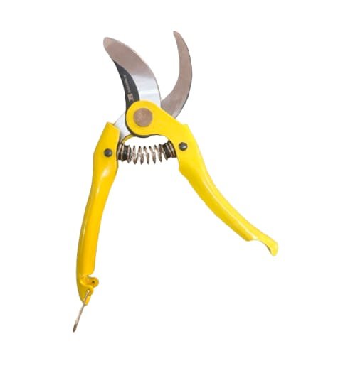 Garden Pruning Shears