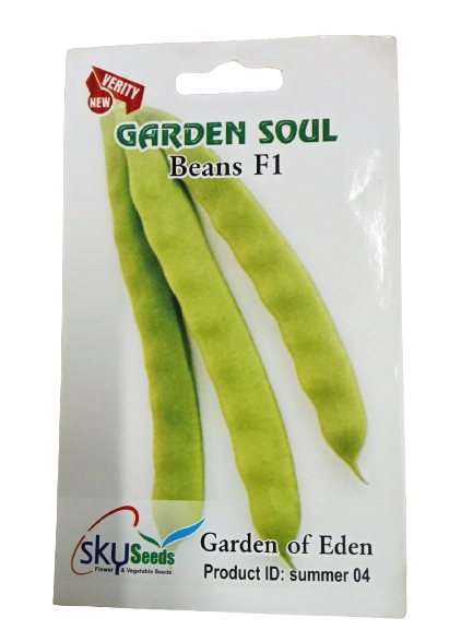 SKY SEEDS <h1>Beans Seeds Garden of Eden</h1> <strong>Approx.07 Seeds</strong> Garden of Eden with our premium beans seeds collection. Enjoy a variety of beans like green beans, black beans, kidney beans, and more. Each seed promises robust growth and delicious harvests, perfect for salads, soups, and main dishes. Whether you're a novice or seasoned gardener, cultivate your own paradise with these versatile and nutritious beans, enhancing your garden with beauty and flavor.  