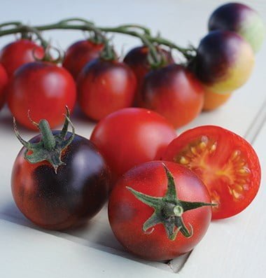 SKY SEEDS Indigo Cherry Drops
Organic Tomato Seed