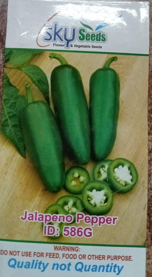 SKY SEEDS Jalapeno Hybrid F1 Seeds (Mexican Pepper) Jalapenos thrive in warm climates. Sow in spring, full sun, well-drained soil. High-yield plants produce thick-walled, flavorful peppers, ideal for salsas, pickling, and grilling. Rich in vitamins A and C.