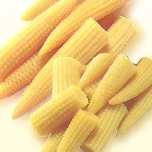 Baby Corn Seeds Hybrid F1