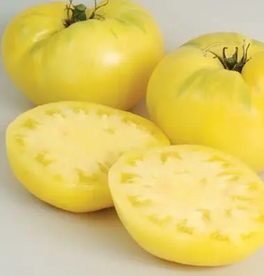 Tomato Seed Great White Organic 20 Seeds