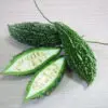BITTER GOURD HYBRID F1