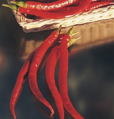 SKY SEEDS Bright red fruits are excellent for homemade hot sauce and dry well for ristras and delicious, dried hot pepper flakes. The 8-10" long, thin-fleshed fruits taper to a skinny point.