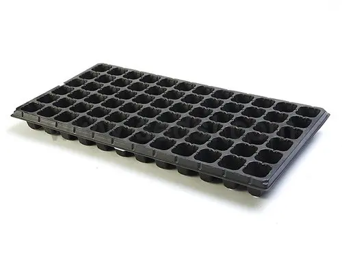 SEEDLING TRAY (72 HOLES) Best Deals