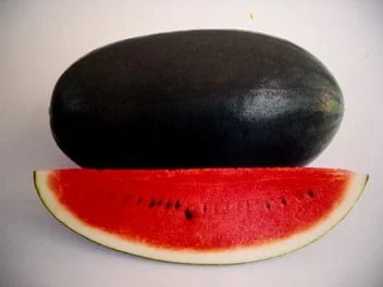 Watermelon Black Long Hybrid F1