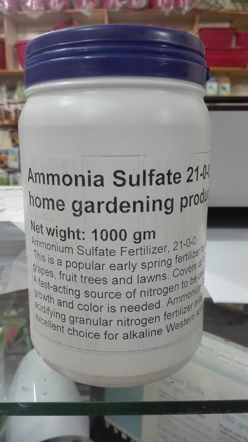 SKY SEEDS Ammonia Sulfate 21-0-0, the best home gardening product Net wight: 1000 gm