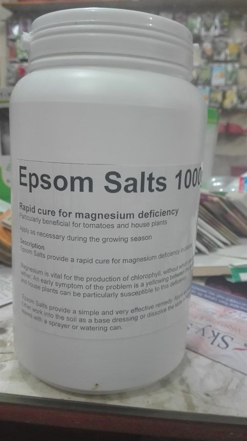 SKY SEEDS Epsom Salts 1000 gm