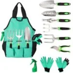 Home - Sky Seed Store