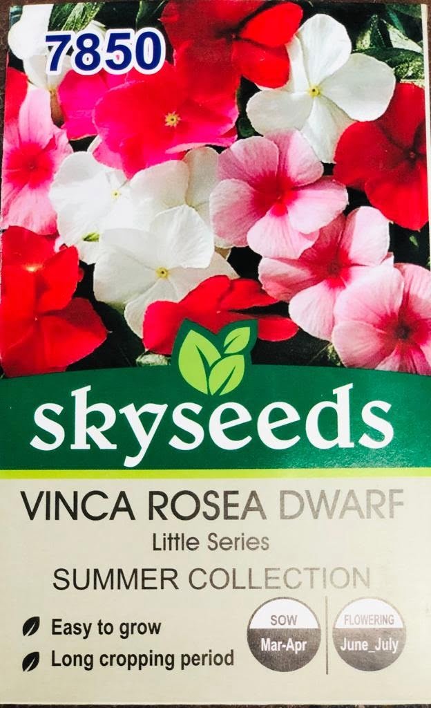 SKY SEEDS Dwarf, bushy plants for bedding and in pots.available in 5 colors . 40 seeds in packet.