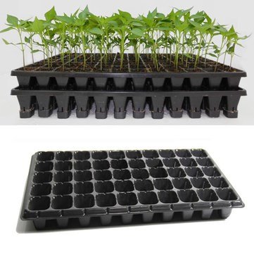 SKY SEEDS Seed Tray 50 Cells' Seed Tray 50 Cells' seed trays are perfect for starting vegetable, flower, herb, tree, and succulent seeds. uniform growth, and easy transplanting. The trays help maintain a controlled environment, improving germination rates. They are great for transplanting as they prevent root damage and shock.