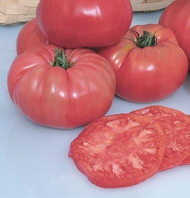 SKY SEEDS Tomato Pruden's Purple Organic Tomato Seed