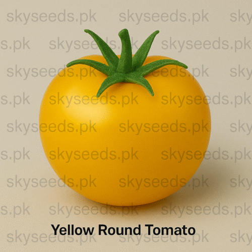 Tomato Seeds Yellow Round