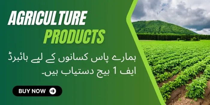 Home - Sky Seed Store