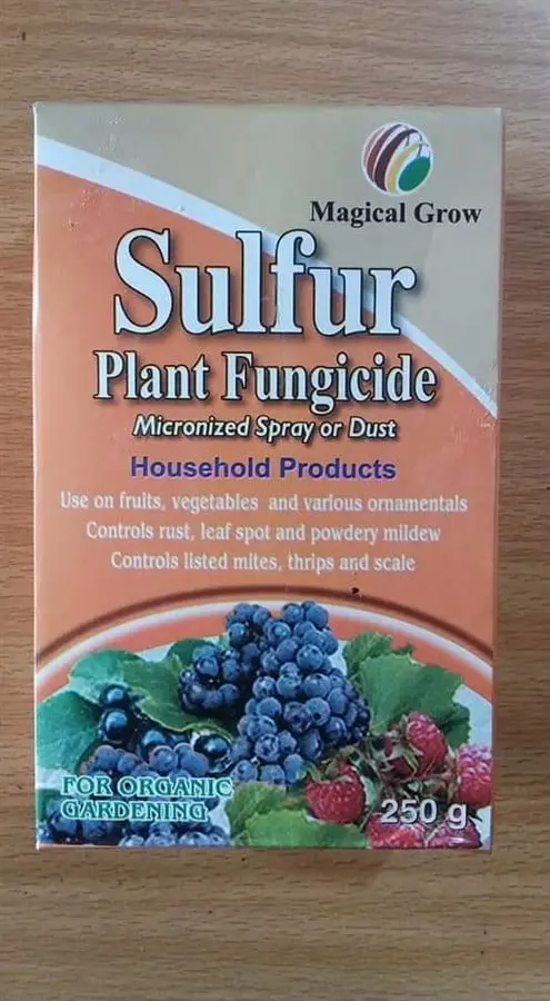 SULFUR  250 GM