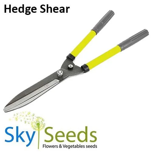 Hedge Shear Yellow & Black