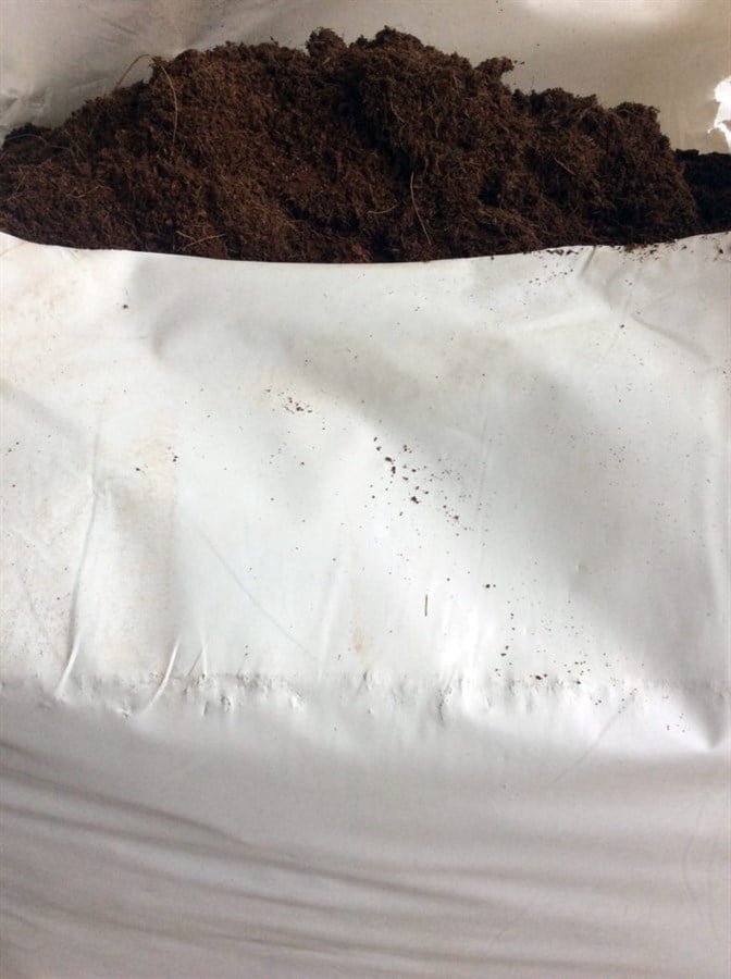 SKY SEEDS Coco Peat Soil (20 KG Bag)
Dry coco peat soil sold in 35 KG bag. Expands further by adding water.