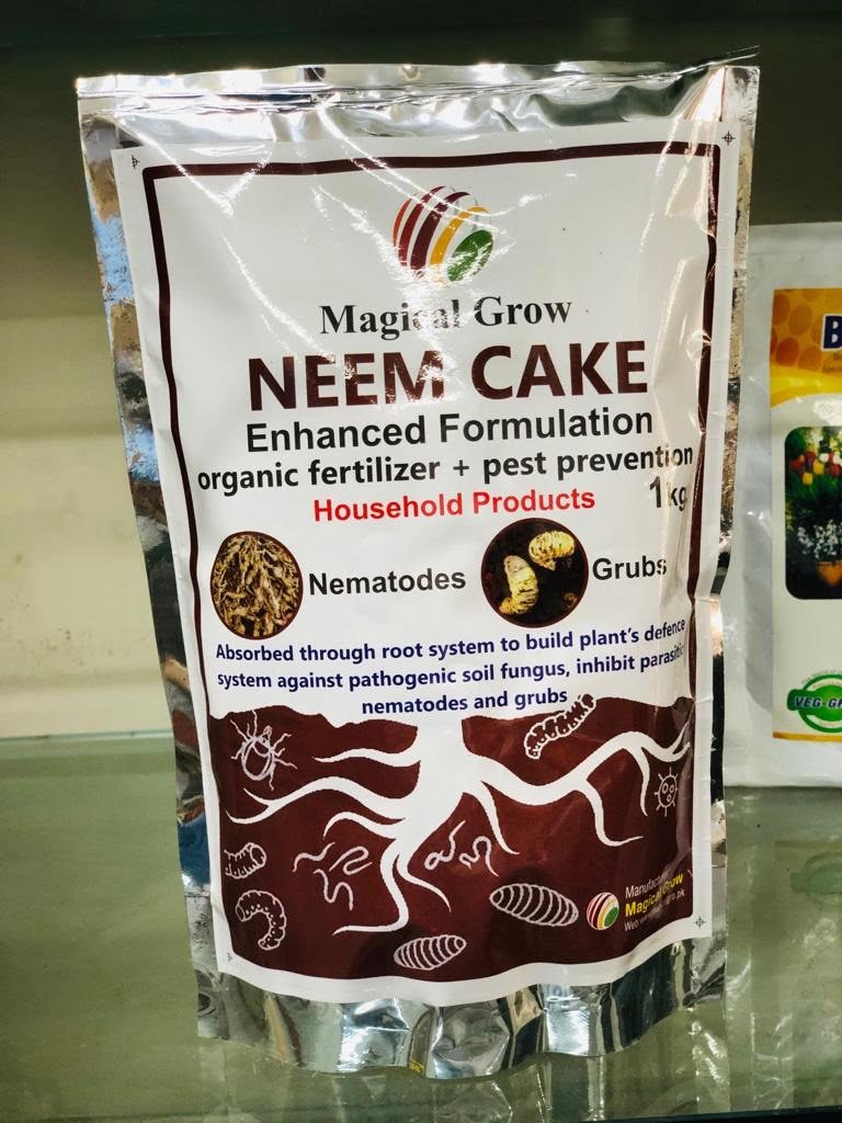 SKY SEEDS <strong>Neem Cake</strong> Neem cake is an organic fertilizer and pest repellent made from the residual neem seeds after oil extraction. It is rich in nutrients and offers numerous benefits for plants and soil health. <strong>Benefits:</strong> <ol> <li><strong>Nutrient-Rich:</strong> Provides essential nutrients like nitrogen, phosphorus, and potassium.</li> <li><strong>Pest Repellent:</strong> Naturally repels harmful pests and insects.</li> <li><strong>Soil Conditioner:</strong> Improves soil structure and fertility.</li> </ol> <strong>How to Use Neem Cake:</strong> <ol> <li><strong>Soil Preparation:</strong> Mix neem cake into the soil before planting.</li> <li><strong>Top Dressing:</strong> Spread neem cake around the base of existing plants and lightly work into the soil.</li> <li><strong>Composting:</strong> Add neem cake to compost to enhance its nutrient content.</li> </ol> <strong>Dosage:</strong> <ol> <li><strong>General Use:</strong> Apply 100-200 grams per square meter of soil.</li> <li><strong>Planting Holes:</strong> Add 20-30 grams per planting hole.</li> <li><strong>Established Plants:</strong> Use 50-100 grams around the base of plants.</li> </ol> <strong>Suitable Plants:</strong> <ol> <li><strong>Vegetables:</strong> Tomatoes, cucumbers, and leafy greens.</li> <li><strong>Flowers:</strong> Roses, marigolds, and sunflowers.</li> <li><strong>Fruit Trees:</strong> Citrus, apple, and pear trees.</li> </ol> Using neem cake ensures healthy plant growth, pest control, and improved soil health. For more gardening tips and products, visit <a target="_new" rel="noreferrer noopener">Sky Seeds Garden Care Category</a> on <a href="https://skyseeds.pk" target="_new" rel="noreferrer noopener">SkySeeds.pk</a>.