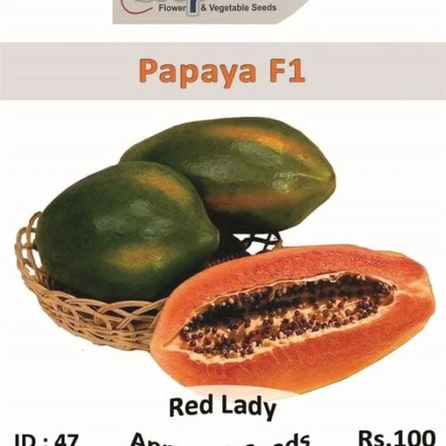PAPAYA F1 RED LADY