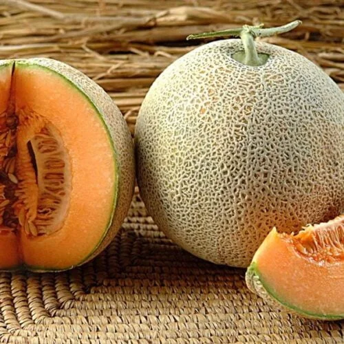 Muskmelon Cantaloupe Sweet Honey
