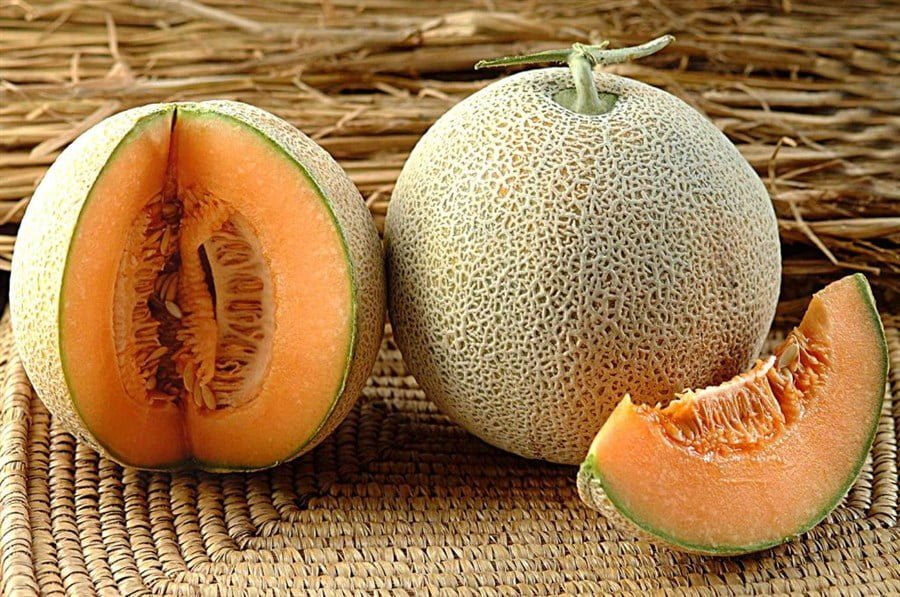 SKY SEEDS Muskmelon - SWEET HONEY Cantaloupe
100 SEEDS IN PACKET