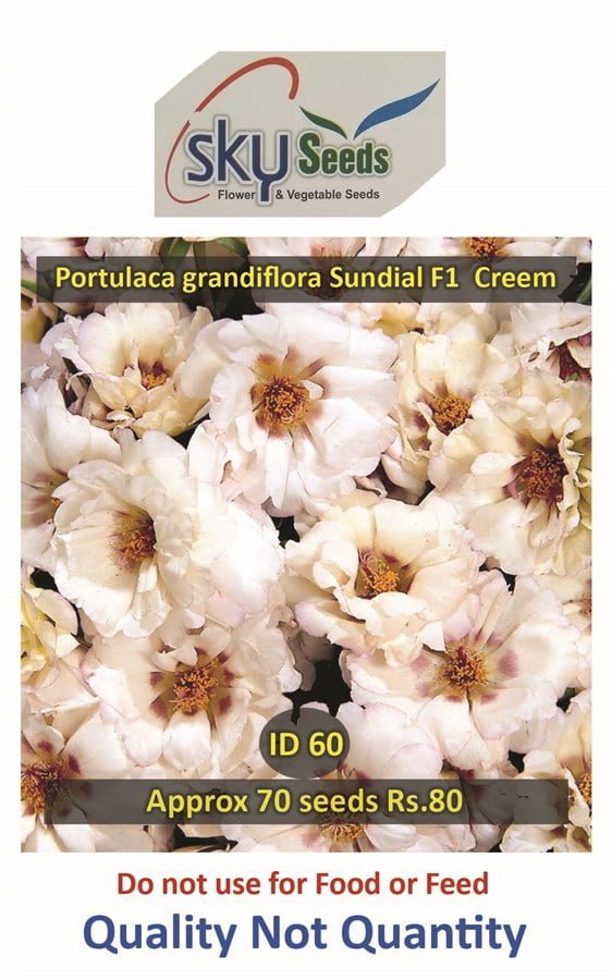 SKY SEEDS SUNDIAL Cream Earliest type Vigorous, well branched habit Fills pots and packs quickly approx.70 seeds