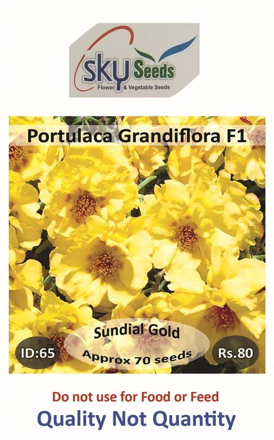 SKY SEEDS SUNDIAL Gold Earliest type Vigorous, well branched habit Fills pots and packs quickly approx.70 seeds