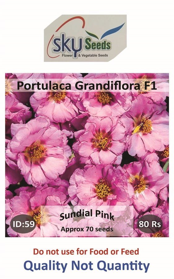 SKY SEEDS SUNDIAL Pink Earliest type Vigorous, well branched habit Fills pots and packs quickly approx.70 seeds