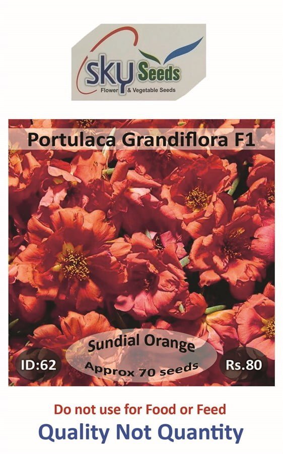 SKY SEEDS SUNDIAL Orange Earliest type Vigorous, well branched habit Fills pots and packs quickly approx.70 seeds