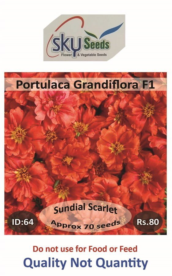 SKY SEEDS SUNDIAL Scarlet Earliest type Vigorous, well branched habit Fills pots and packs quickly approx. 70 seeds