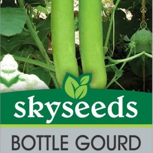bottle Gourd  (Loki)  Selected  Seeds