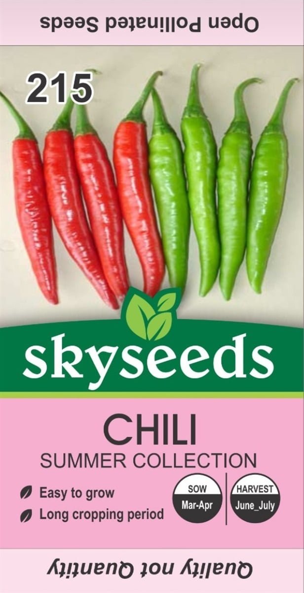 SKY SEEDS Chili open pollinated (Approx. 30 Seeds )