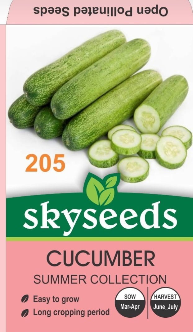 SKY SEEDS cucumber Desi Selected Seeds approximately 40 seeds