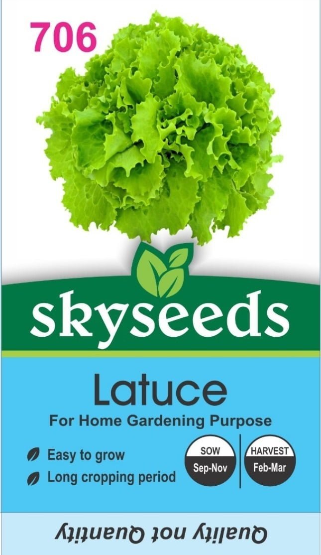 Lettuce Seed Op - SKY SEEDS