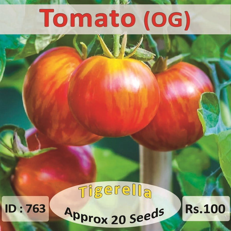 SKY SEEDS Tomato - Tigerella 20 seeds in packet