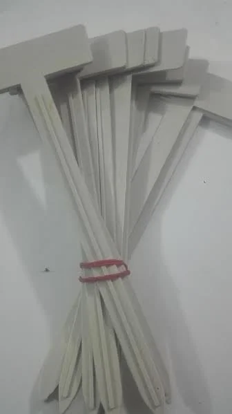 Plastic Plant T-type Tags 10