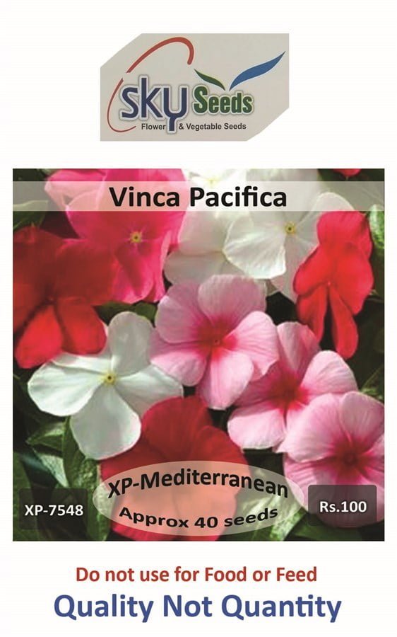 SKY SEEDS Mediterranean XP Lipstick Mix Vinca 40 seeds