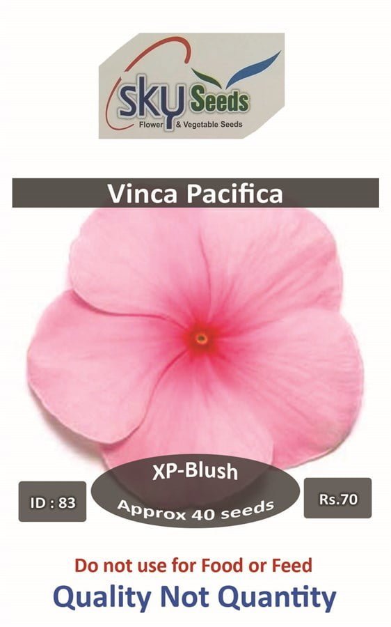 SKY SEEDS Pacifica XP Blush Vinca 40 seeds in packet