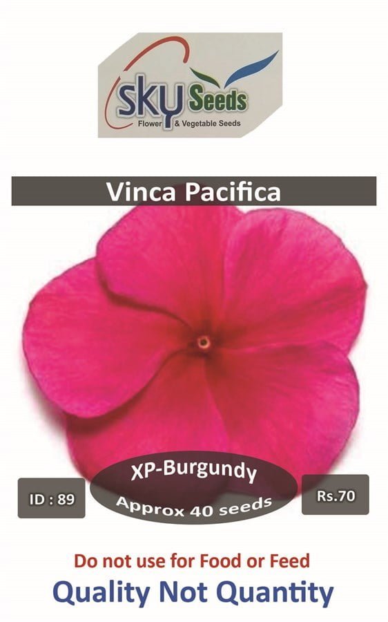 SKY SEEDS The earliest, largest-flowered and most vigorous O.P vinca comes with XP seed quality, making it easier to grow and more appealing at retail. Pacifica XP varieties deliver a tight, 5 to 7-day flowering window and uniform, upright habit across all colours. It’s the only vinca series on the market with colours covering all top sellers plus novelties, including the only true Red. Outstanding in hot, dry and sunny conditions, these durable, stress-tolerant plants meet the increasing consumer demand for water-wise, heat-loving crops.