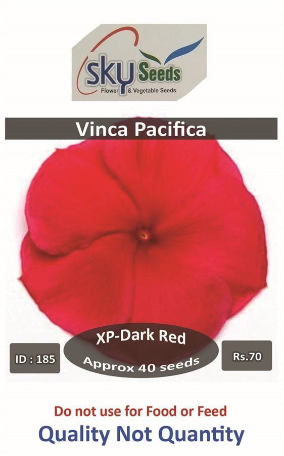 SKY SEEDS Pacifica XP Dark Red Vinca APPROXIMATELY 40 SEEDS IN PACKET
