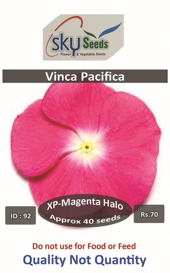 SKY SEEDS Pacifica XP Magenta Halo Vinca APPROXIMATELY 40 SEEDS IN PACKET