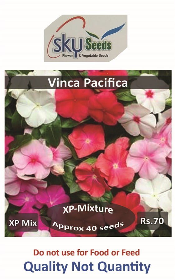 SKY SEEDS Pacifica XP Mixture Vinca 40 seeds