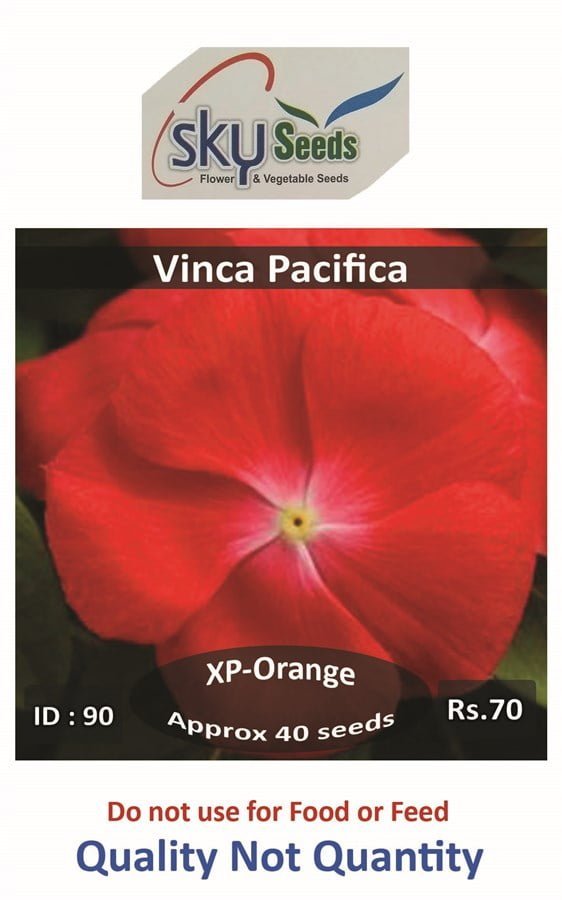 SKY SEEDS Pacifica XP Orange Vinca 40 seeds in packet