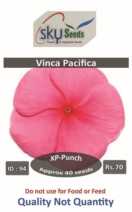 SKY SEEDS Pacifica XP Punch Vinca APPROXIMATELY 40 SEEDS IN PACKET