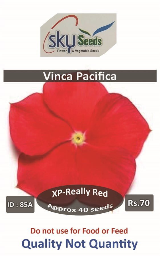 SKY SEEDS Pacifica XP Really Red Vinca APPROXIMATELY 40 SEEDS IN PACKET
