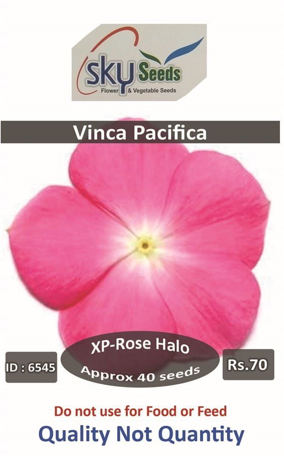 SKY SEEDS Pacifica XP Rose Halo Vinca 40 seeds in a packet