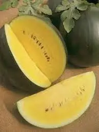 Watermelon, Anguria Janosik 10 SEEDS