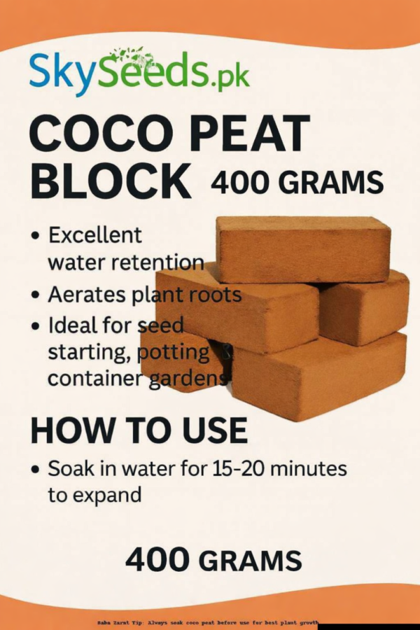 Coconut Peat Coir 400 Grams